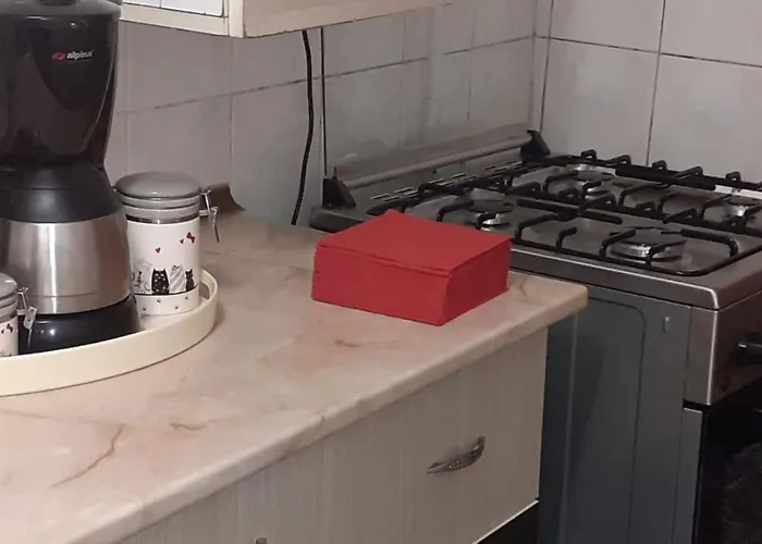 Best Apartment Cocorului, Self Check-In, Parking Nearby, Brasov דירה